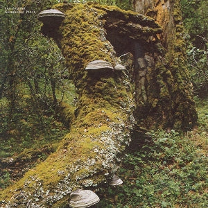 Jan Jelinek ~ Kosmischer Pitch (Vinyl) - Djungel & Jazz
