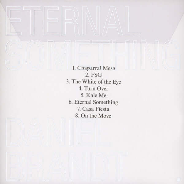 Daniel Brandt (2) : Eternal Something (LP, Album)