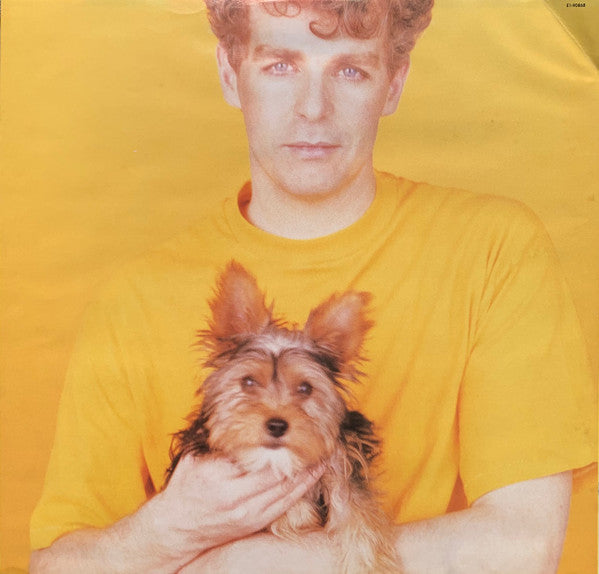 Pet Shop Boys : Introspective (LP, Album, Bla)