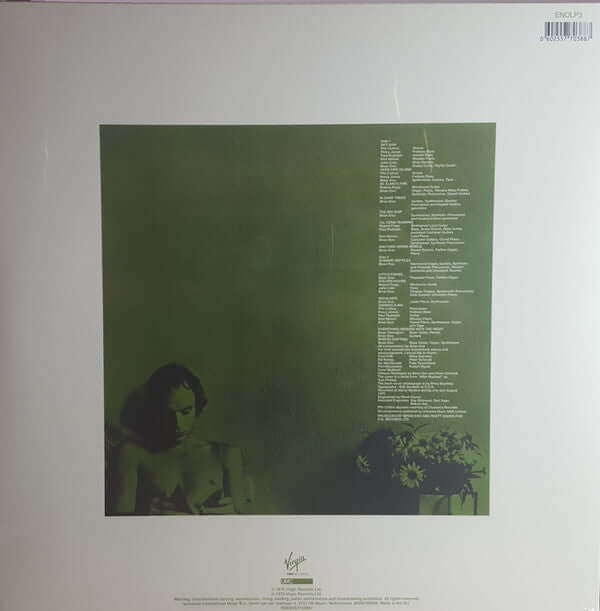 Eno ~ Another Green World (Vinyl) - Djungel & Jazz