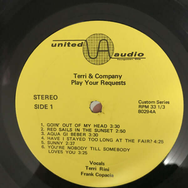 Terri & Company ~ Terri & Company Play Your Requests (Vinyl) - Djungel & Jazz
