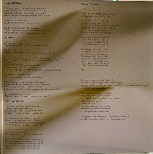 St. Vincent ~ Strange Mercy (Vinyl) - Djungel & Jazz