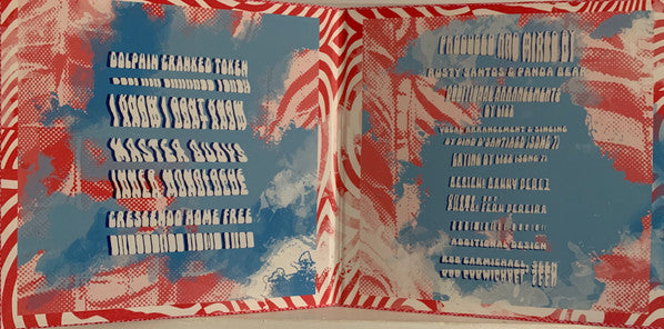 Panda Bear ~ Buoys (Vinyl) - Djungel & Jazz