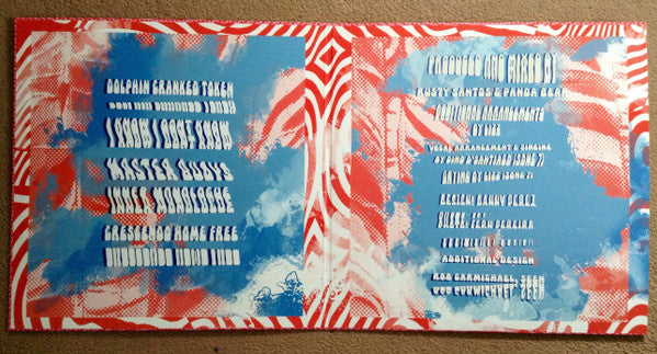 Panda Bear ~ Buoys (Vinyl) - Djungel & Jazz