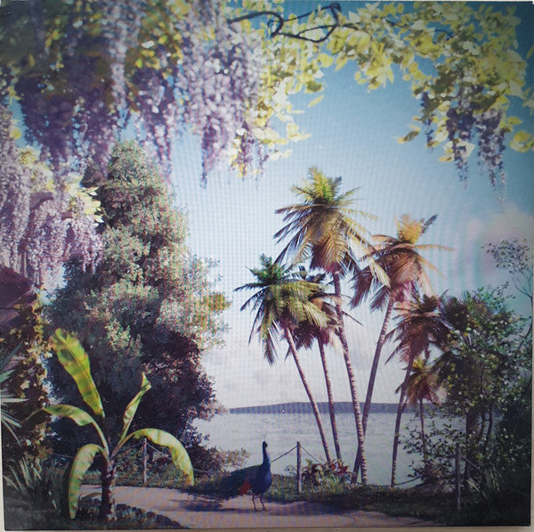 Beirut ~ Gallipoli (Vinyl) - Djungel & Jazz