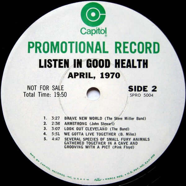 Various ~ Listen In Good Health: Songs Of Celebration And Decay (Vinyl) - Djungel & Jazz