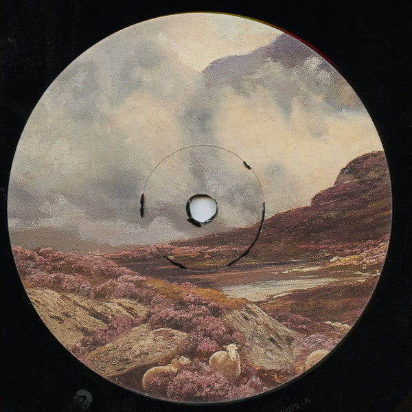 RÅÅ ~ Ljungens Lag (Vinyl) - Djungel & Jazz