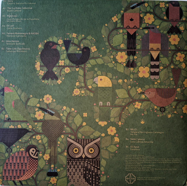 Various : A Guide To The Birdsong Of Mexico, Central America, & The Caribbean (LP, Album)