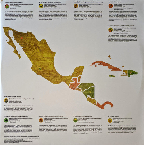 Various : A Guide To The Birdsong Of Mexico, Central America, & The Caribbean (LP, Album)