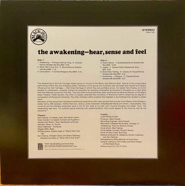 The Awakening ~ Hear, Sense And Feel (Vinyl) - Djungel & Jazz