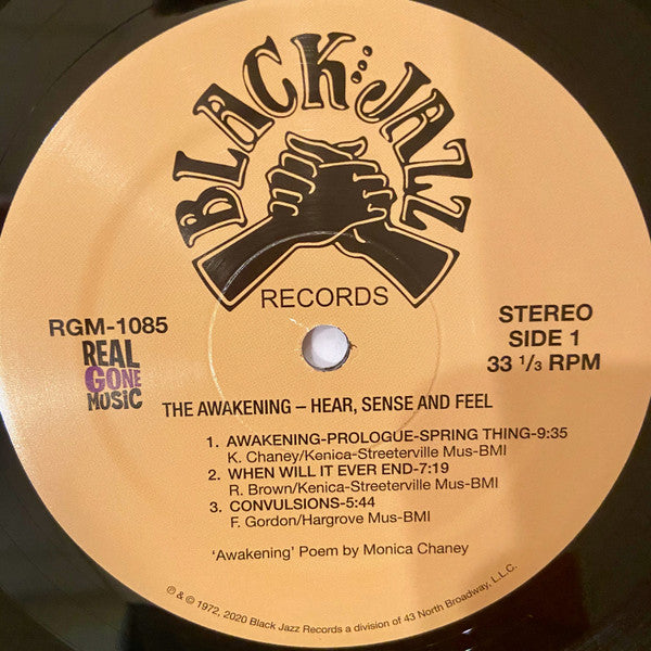 The Awakening ~ Hear, Sense And Feel (Vinyl) - Djungel & Jazz