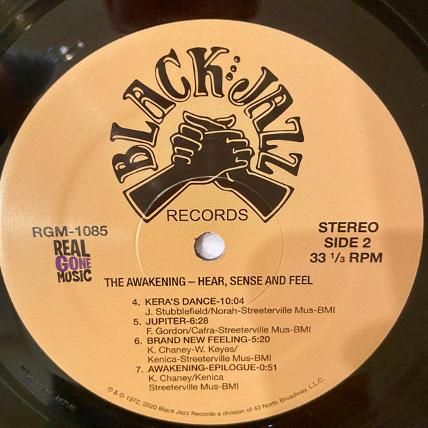 The Awakening ~ Hear, Sense And Feel (Vinyl) - Djungel & Jazz