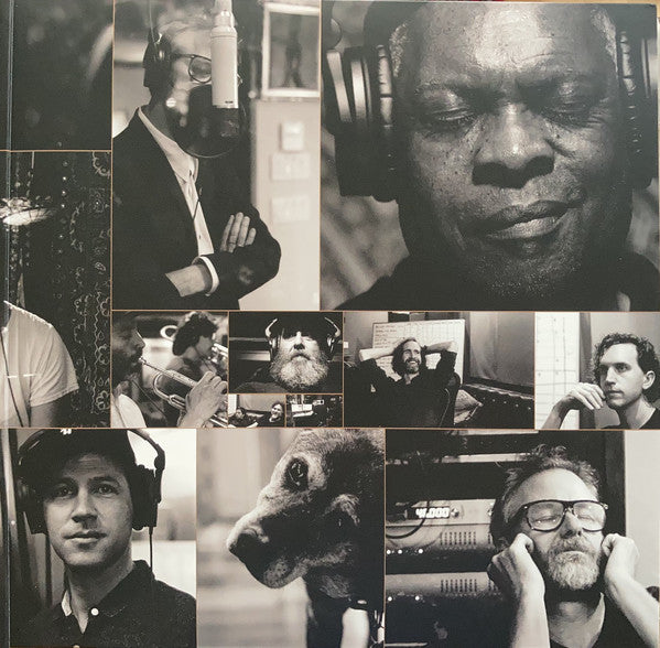 Matt Berninger ~ Serpentine Prison (Vinyl) - Djungel & Jazz