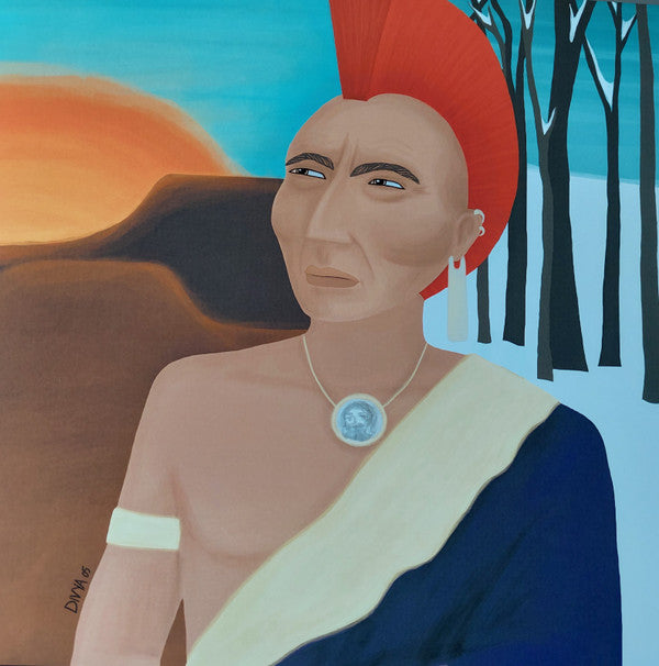 Sufjan Stevens ~ Illinois (Vinyl) - Djungel & Jazz