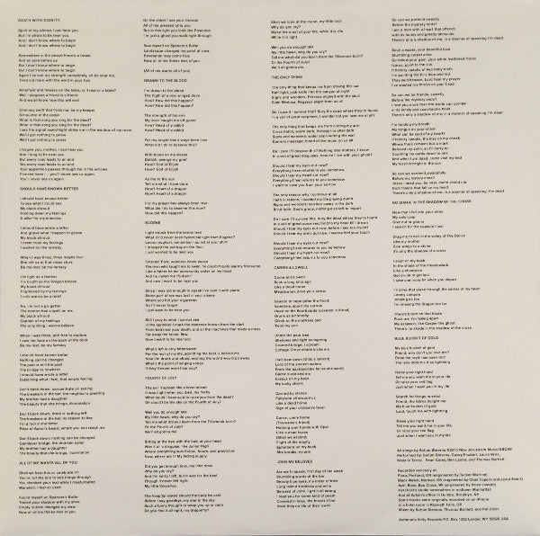 Sufjan Stevens ~ Carrie & Lowell (Vinyl) - Djungel & Jazz