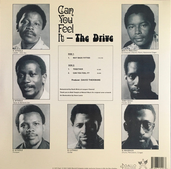 The Drive  ~ Can You Feel It (Vinyl) - Djungel & Jazz