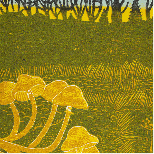 Rural Tapes ~ Rural Tapes (Vinyl) - Djungel & Jazz