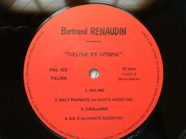 Bertrand Renaudin ~ Délire Et Utopie (Vinyl) - Djungel & Jazz