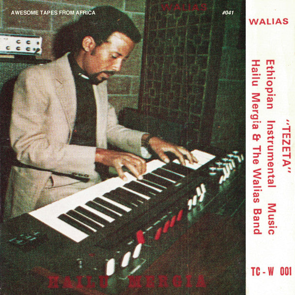 Hailu Mergia & The Walias Band ~ Tezeta (Vinyl) - Djungel & Jazz