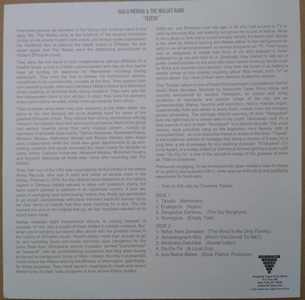 Hailu Mergia & The Walias Band ~ Tezeta (Vinyl) - Djungel & Jazz