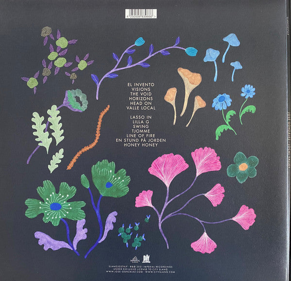 José González ~ Local Valley (Vinyl) - Djungel & Jazz