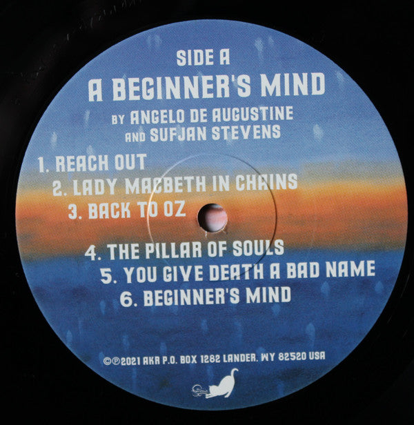 Sufjan Stevens & Angelo De Augustine ~ A Beginner's Mind (Vinyl) - Djungel & Jazz