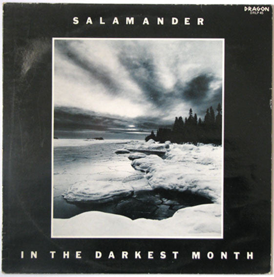 Salamander (11) : In The Darkest Month (LP, Album)