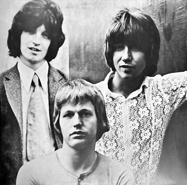 The Hollies ~ Hollies Sing Hollies (Vinyl) - Djungel & Jazz