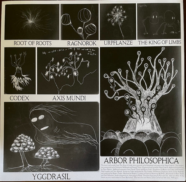 Radiohead ~ The King Of Limbs (Vinyl) - Djungel & Jazz