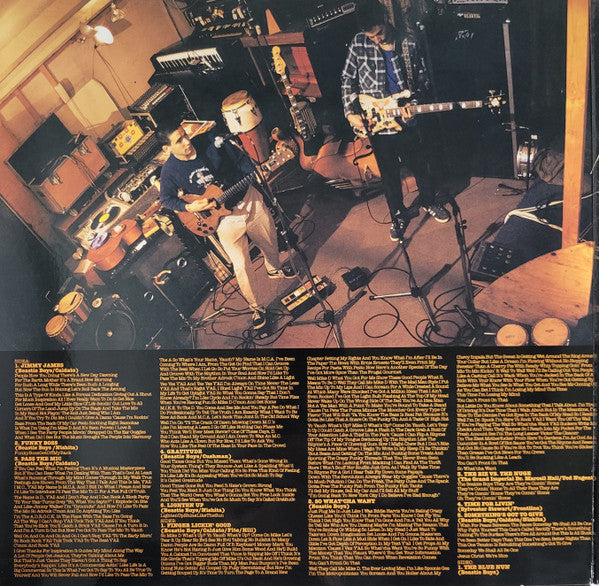 Beastie Boys ~ Check Your Head (Vinyl) - Djungel & Jazz