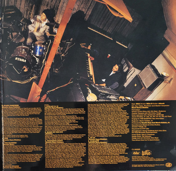 Beastie Boys ~ Check Your Head (Vinyl) - Djungel & Jazz
