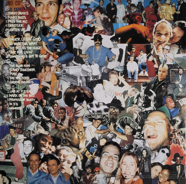 Beastie Boys ~ Check Your Head (Vinyl) - Djungel & Jazz