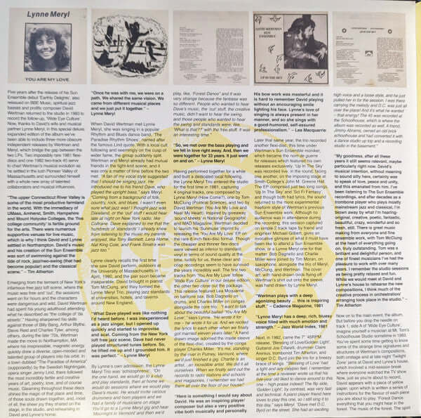 David Wertman, Sun Ensemble ~ Wide Eye Culture (Vinyl) - Djungel & Jazz