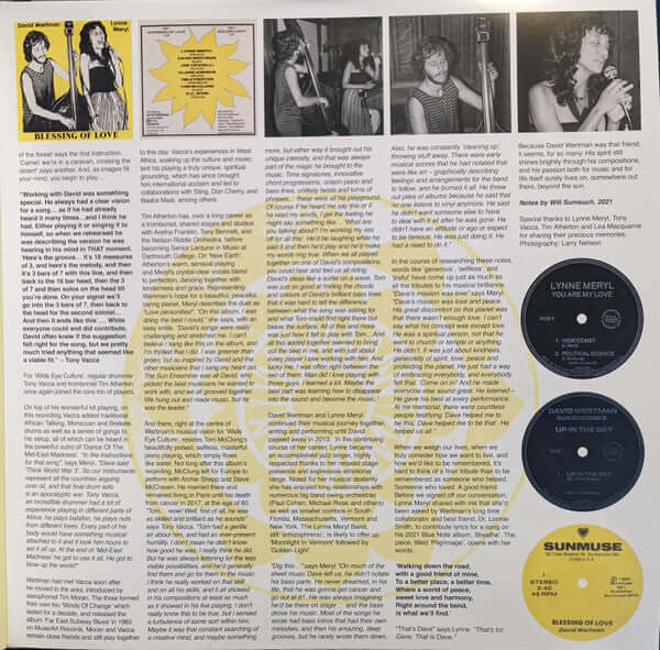 David Wertman, Sun Ensemble ~ Wide Eye Culture (Vinyl) - Djungel & Jazz