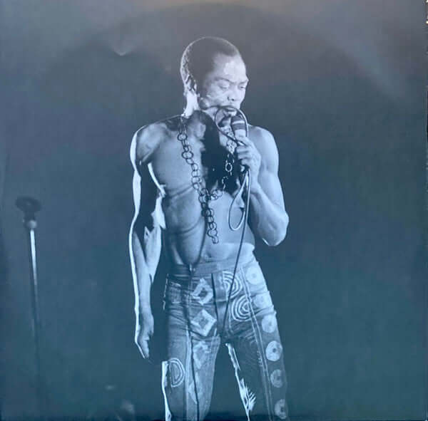 Fela & The Africa 70 ~ Music Of Fela - Roforofo Fight (Vinyl) - Djungel & Jazz