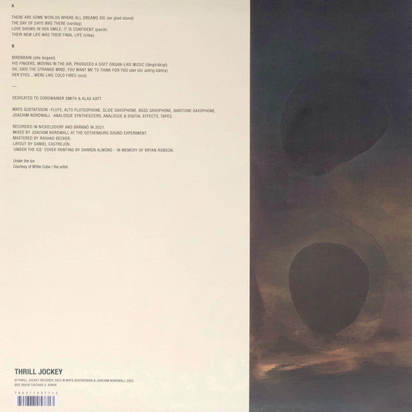 Mats Gustafsson & Joachim Nordwall ~ Their Power Reached Across Space and Time - To Defy Them Was Death - Or Worse (Vinyl) - Djungel & Jazz