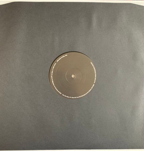 RÅÅ ~ Skånes Spårvägar (Vinyl) - Djungel & Jazz
