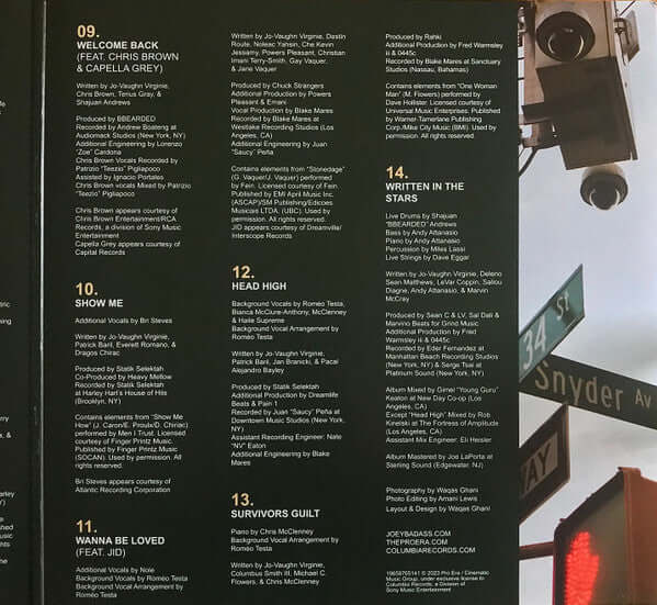 Joey Bada$$ : 2000 (2xLP, Album)