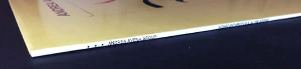 Andrea Avena Group ~ Pithecanthropus E Altre Storie (Vinyl) - Djungel & Jazz