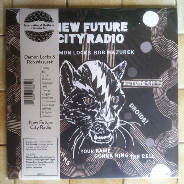 Damon Locks & Rob Mazurek ~ New Future City Radio (Vinyl) - Djungel & Jazz