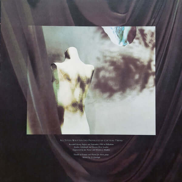 Cocteau Twins ~ Treasure (Vinyl) - Djungel & Jazz