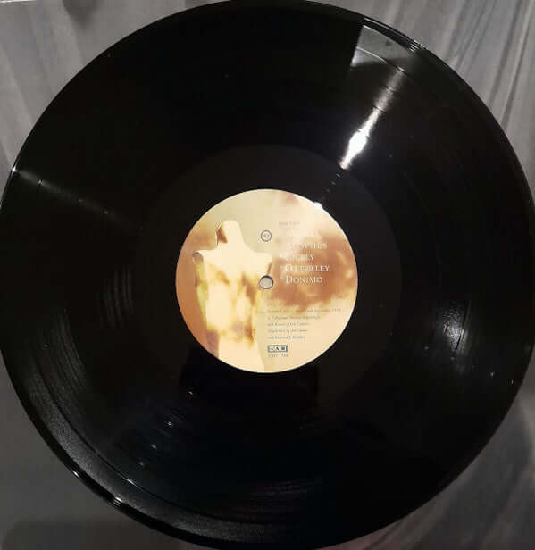 Cocteau Twins ~ Treasure (Vinyl) - Djungel & Jazz