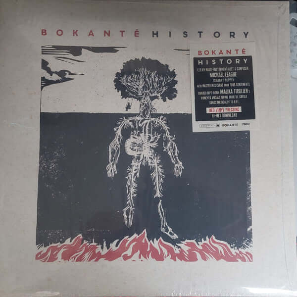 Bokanté ~ History (Vinyl) - Djungel & Jazz