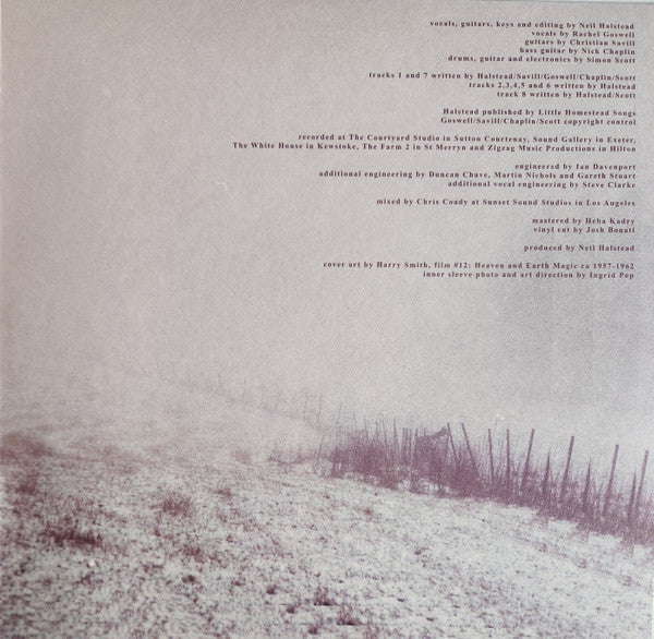 Slowdive ~ Slowdive (Vinyl) - Djungel & Jazz