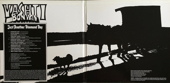 Vashti Bunyan ~ Just Another Diamond Day (Vinyl) - Djungel & Jazz