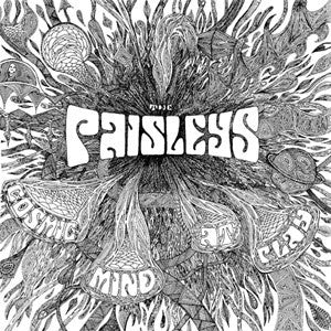 The Paisleys ~ Cosmic Mind At Play (Vinyl) - Djungel & Jazz