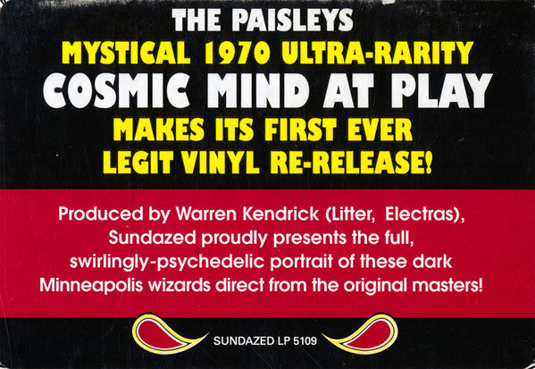 The Paisleys ~ Cosmic Mind At Play (Vinyl) - Djungel & Jazz