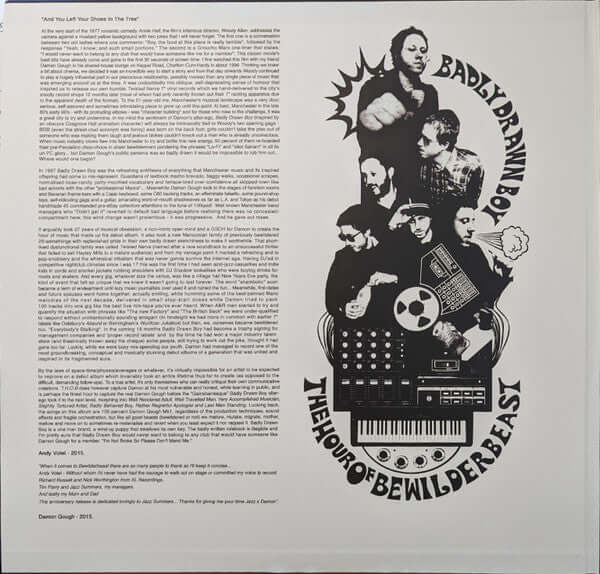 Badly Drawn Boy ~ The Hour Of Bewilderbeast (Vinyl) - Djungel & Jazz