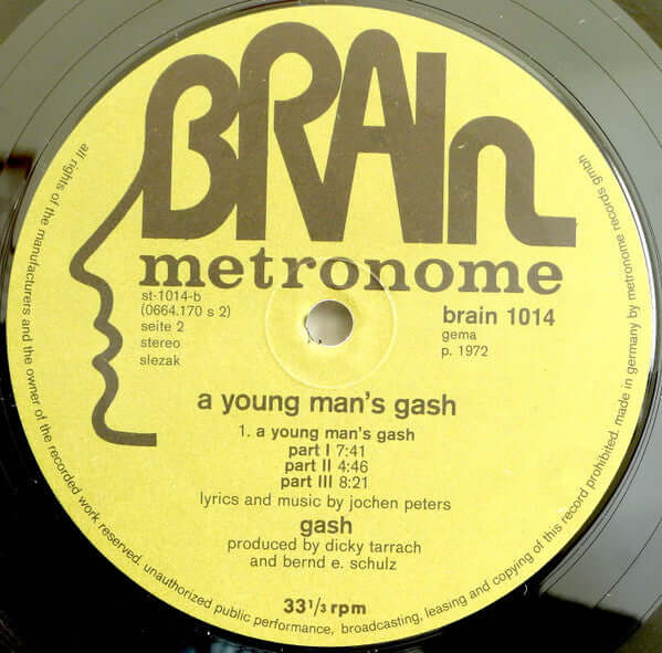 Gash (3) : A Young Man's Gash (LP, Album)