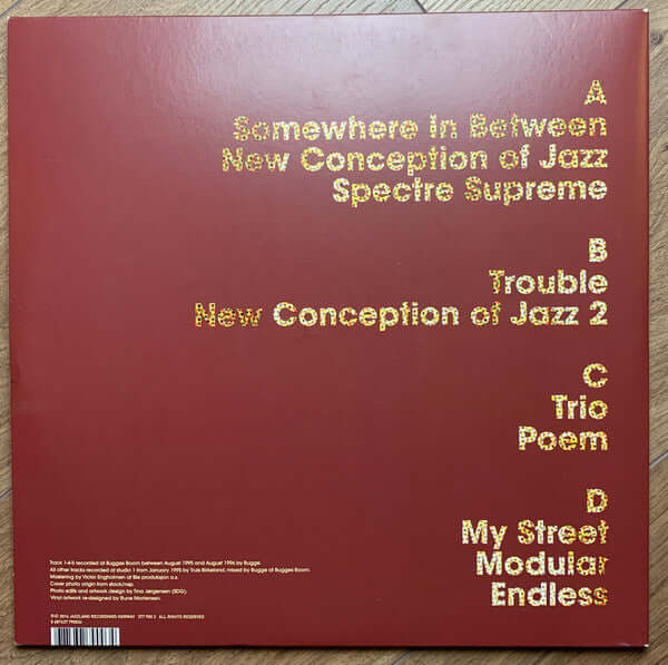 Bugge Wesseltoft ~ New Conception Of Jazz (Vinyl) - Djungel & Jazz